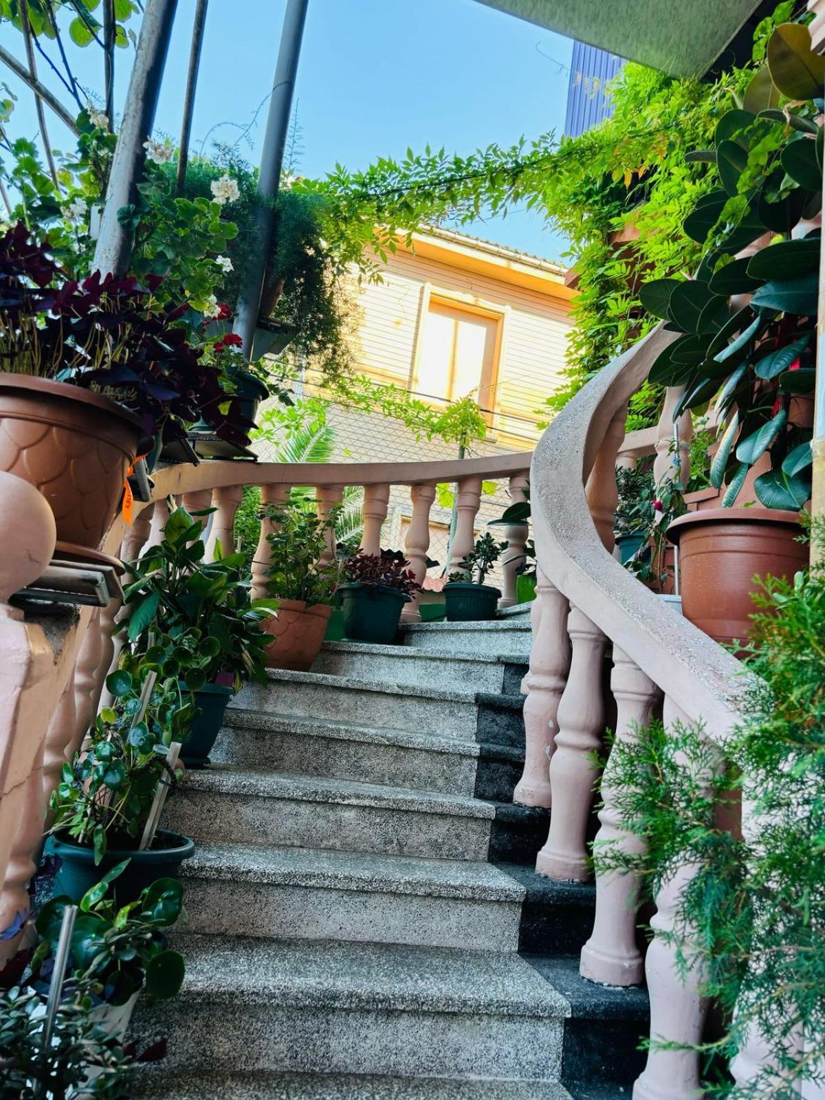 Nikas Guest House Batumi Bagian luar foto
